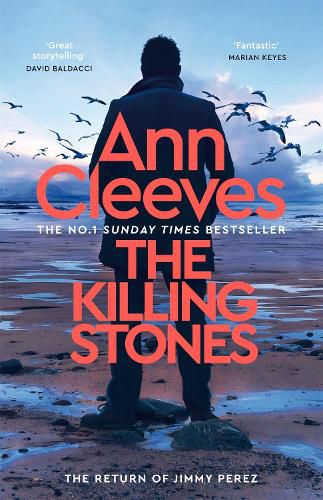 Cover image for The Killing Stones