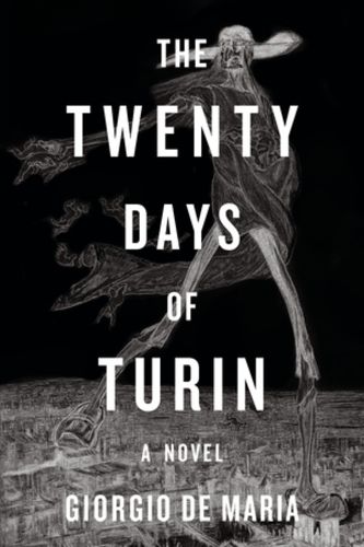 Cover image for The Twenty Days of Turin