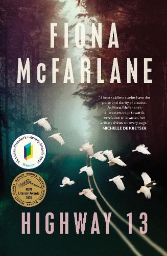 Cover image for Highway 13